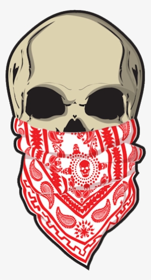 Photo - Skull With Bandana Drawing