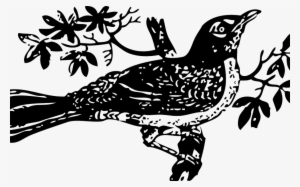 Racism In Language - Mockingbird Black And White