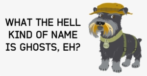 Ghosts Is The Next Installment In The Call Of Duty - Call Of Duty: Ghosts