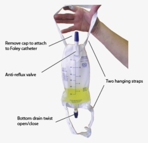 Urine Collection Bag 600ml - Part Of Urine Bag - 364x360 PNG Download ...