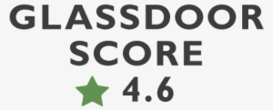 Glassdoor Score - Assertion: New Philosophical Essays