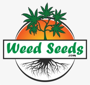 Weedseeds - Com - Seeds Weed Logo