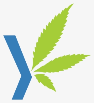 Duby Weed Y Logo In Color - Duby Logo