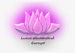 Logo Header Menu - Logo