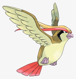 05 Mar 2010 - Pokemon Pidgeot