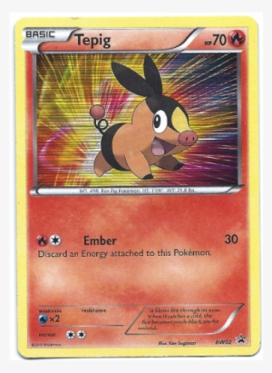 Tepig Png