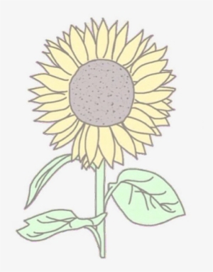 Sunflower Png Tumblr For Kids - Sunflower