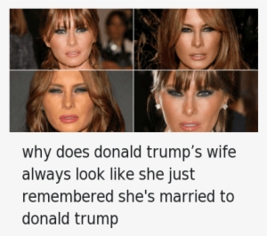 Does Melania Trump Like Donald Trump Photo - Trump And Wife Meme