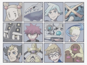 Steel-type Experts And Their Pokémon - Type Experts And Their Pokémon