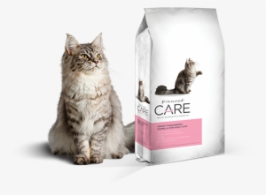 For Adult Cats - Diamond Care Weight Management Cat