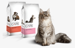 Weight Management Dog & Cat Food - Diamond Care Weight Management Cat