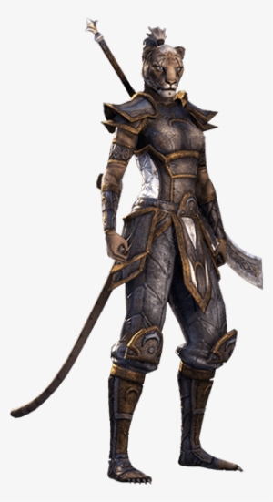 Elder Scrolls Online - Elder Scrolls Online Khajiit Png