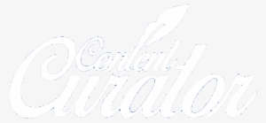 Content Curator - Charlotte Flair