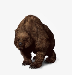 Witcher Wiki - Bear The Witcher 3