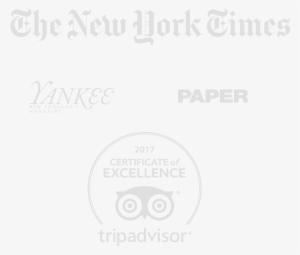 Featured - New York Times All The News Fit