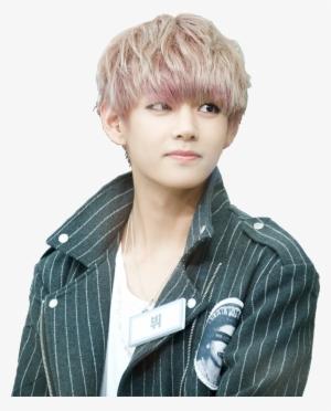 Kim Taehyung Adopts A Cute Cat Hybrid Named Jeon Jungkook - Bts Kim Taehyung Png