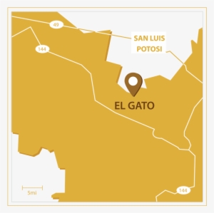 El Gato Project - Map