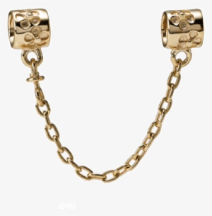Cadena De Seguridad Oro 14k - Floral Gold Safety Chain - Pandora