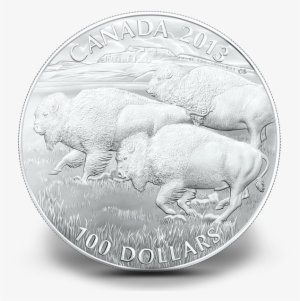 $100 For $100 Fine Silver Coin - Buffalo Coin