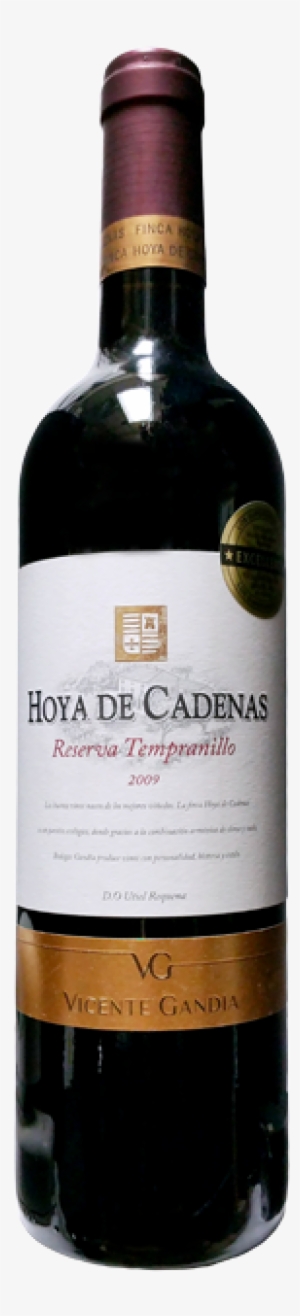 Hoya De Cadenas Tempranillo Reserva - Wine Bottle