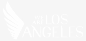 The Issues That Face Los Angeles - Manchester