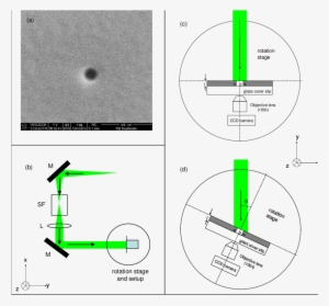 Sem Image Of Circular Aperture (d = 100 Nm) Milled - Diagram