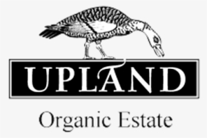 Upland Organic Wine & Brandy Estate - Upland Organic Wines