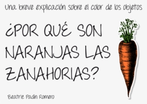 ¿por Qué Son Naranjas Las Zanahorias - Emergency Food Network