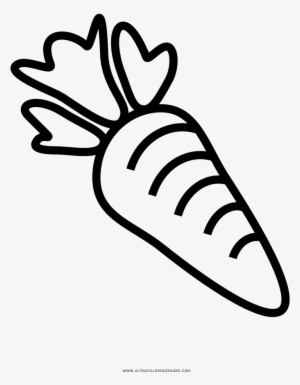 Carrot Coloring Page - Drawing