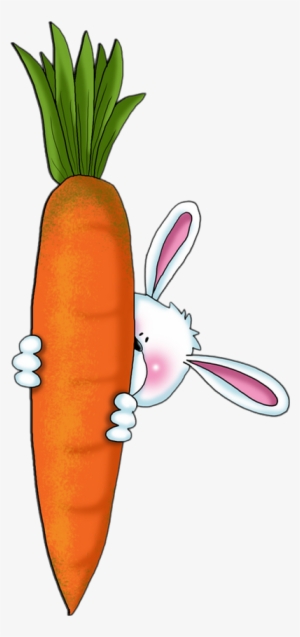 Rabbit With Carrot Drawing