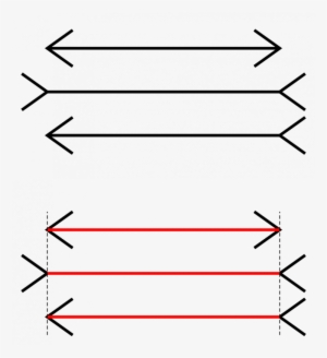 Illusions D Optique Géométriques