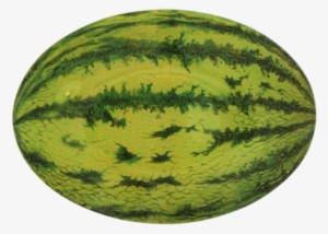 Watermelon Watermelon - Objects With Oblong Shape