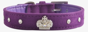 Velvet Dog Collar ~ Purple With Diamantes - Dog Collar