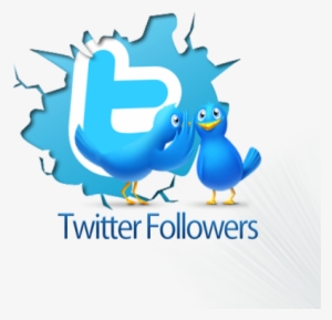 Job Description - - Twitter Transparent Logo Gif