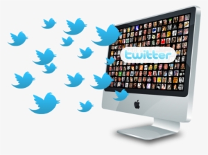 Importance And Ways Of Getting Twitter Followers - Seguidores En Twitter