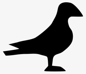 Bird Comments - Icon