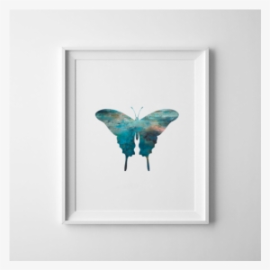 Papilio