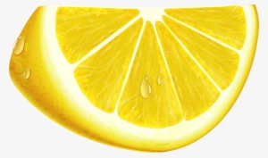 Lemon Clipart Lemon Slice - Clip Art
