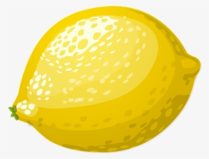 Cafepress Lemon Sticker Square Bumper Car Decal 3 X3