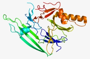 Protein Ern1 Pdb 2hz6 - Turtwig