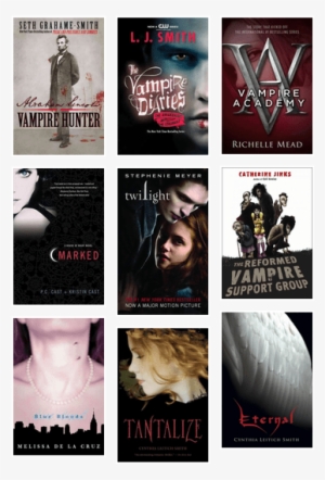 Reformed Vampire Support Group