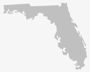 In Re Checking Account Overdraft Litig - Tampa Bay Buccaneers Florida Logo