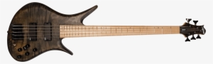 Helio Bass 300 Pro Series 5 String - Woodo B5 Black Walnut