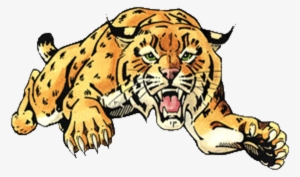 Home Of The Goal Crease Club - Chisago Lakes High School Wildcats