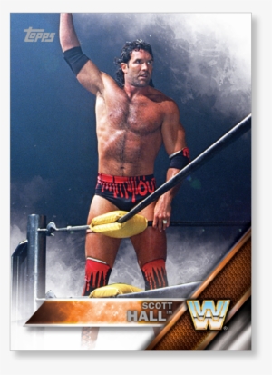 2016 Topps Wwe Scott Hall - 2016 Topps Wwe Base Cards Topps