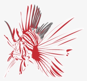 Lionfishsketch - Illustration