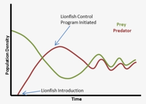 Lionfish Population Dynamics - Diagram
