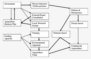 Structure Of Steps Needed For Aquaculture Development - Diagram