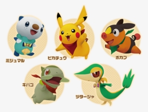 Image Img Pokemon 01 Png Pok 233 Mon Wiki Fandom Powered - Important Characters Of Pokemon Names