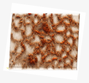 We Are Exploring Methods To Optimize The Thin Film - Motif